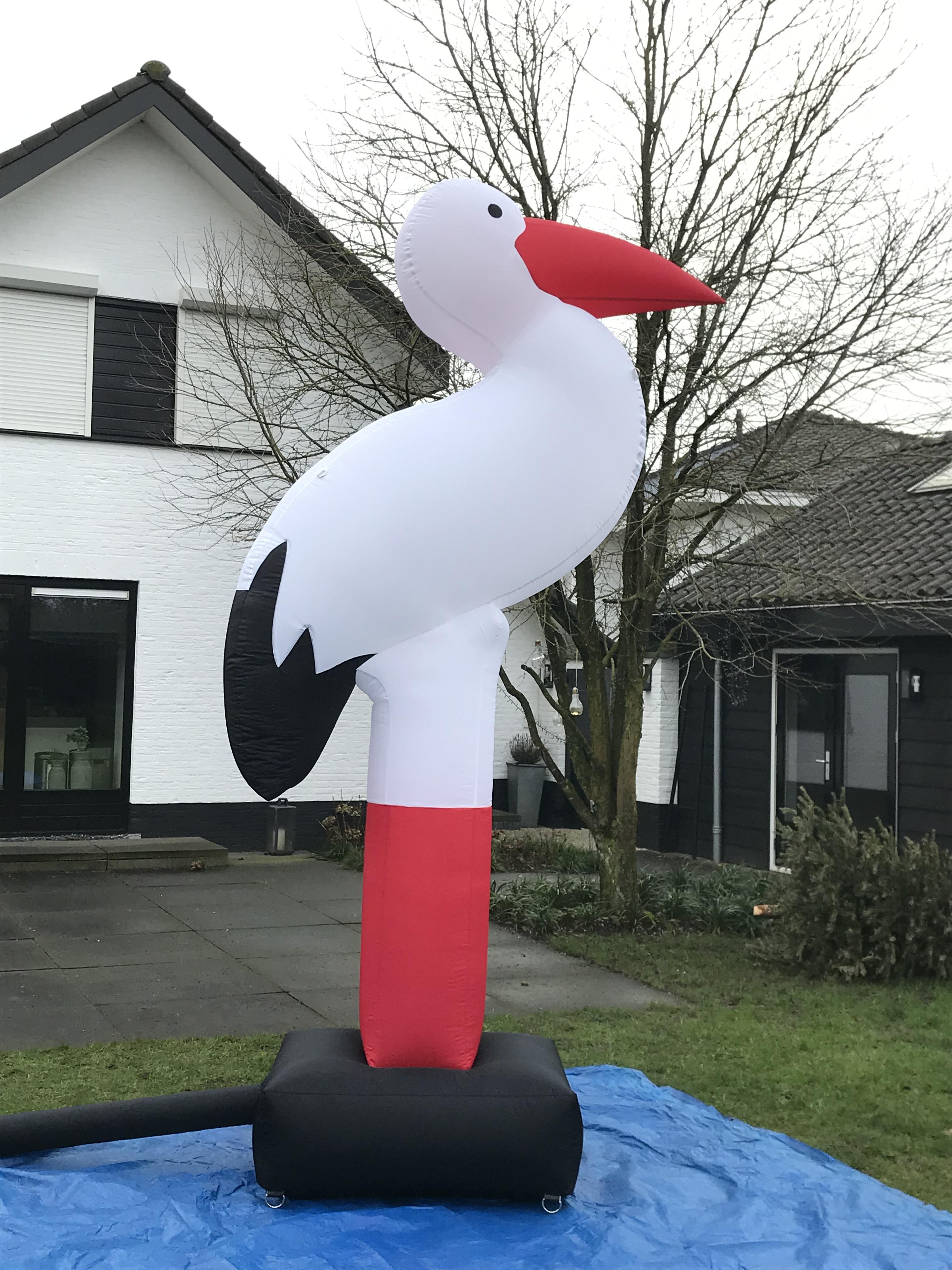 Geboorte Ooievaar Geboorte Ooievaar